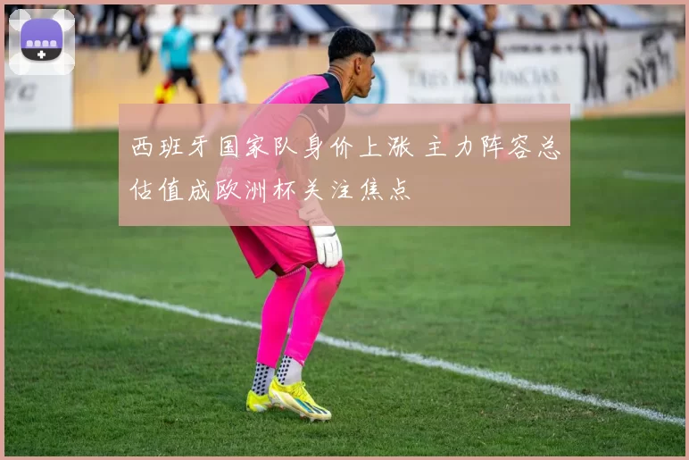 西班牙国家队身价上涨 主力阵容总估值成欧洲杯关注焦点