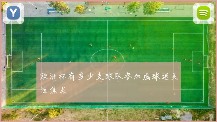 欧洲杯有多少支球队参加成球迷关注焦点