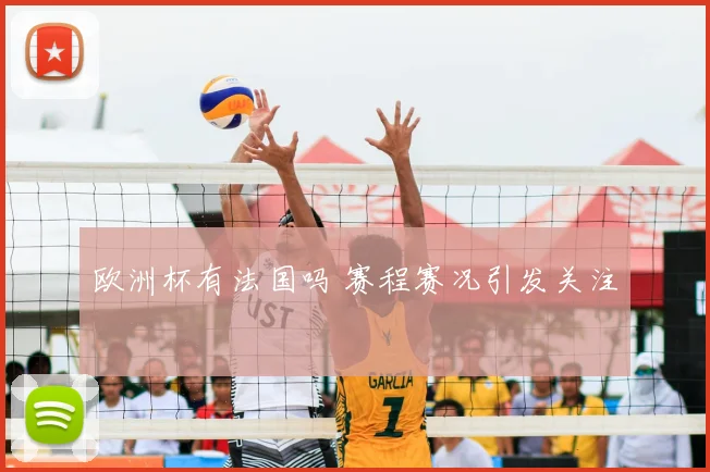欧洲杯有法国吗 赛程赛况引发关注