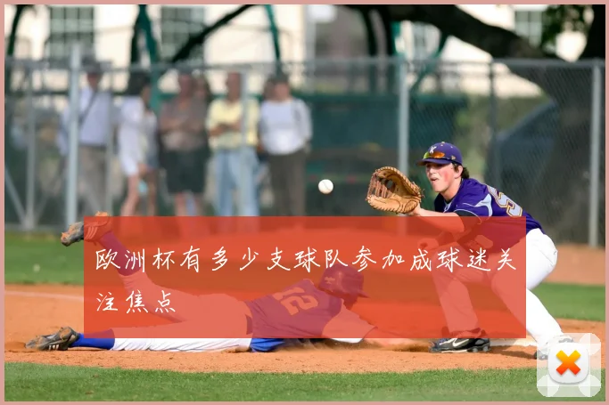 欧洲杯有多少支球队参加成球迷关注焦点