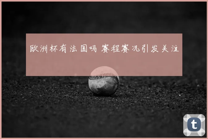 欧洲杯有法国吗 赛程赛况引发关注