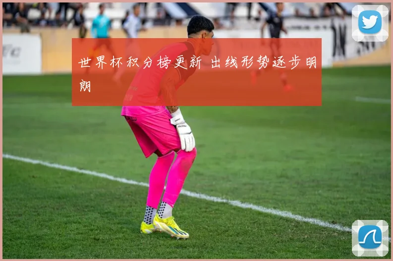 世界杯积分榜更新 出线形势逐步明朗