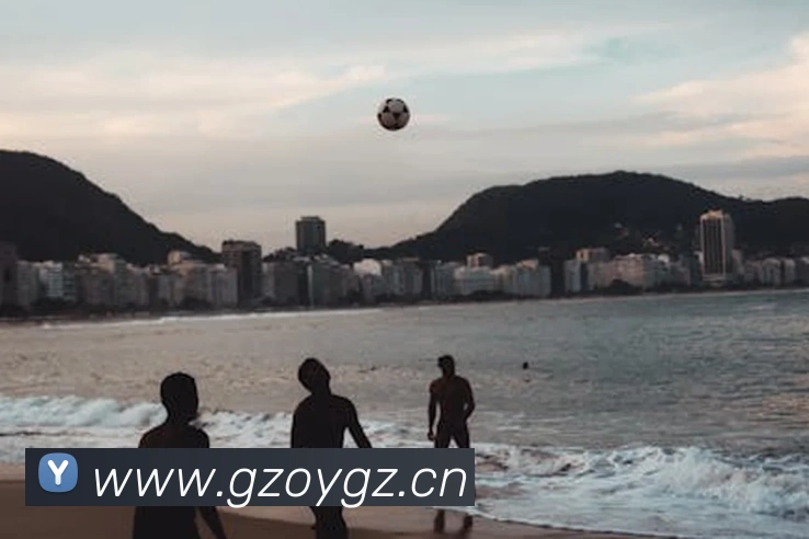 九游j9官网入口平台生态图