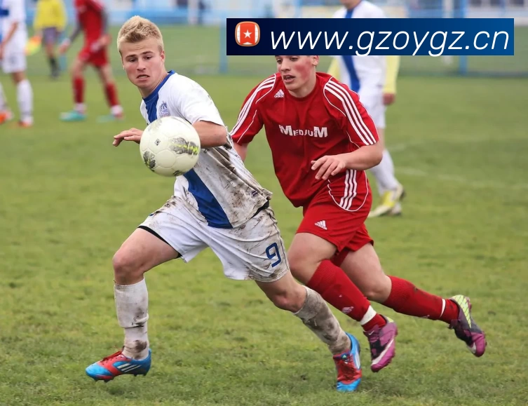 App Interface Preview