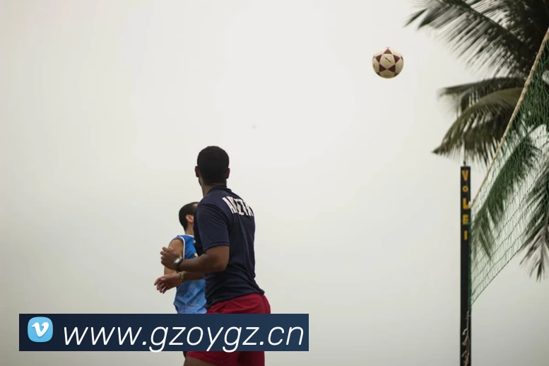 九游j9官网入口全站App 九游j9官网入口全站App