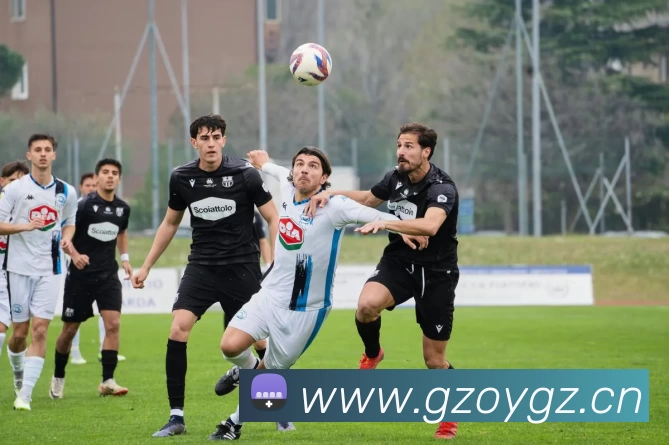 辅助工具 辅助工具